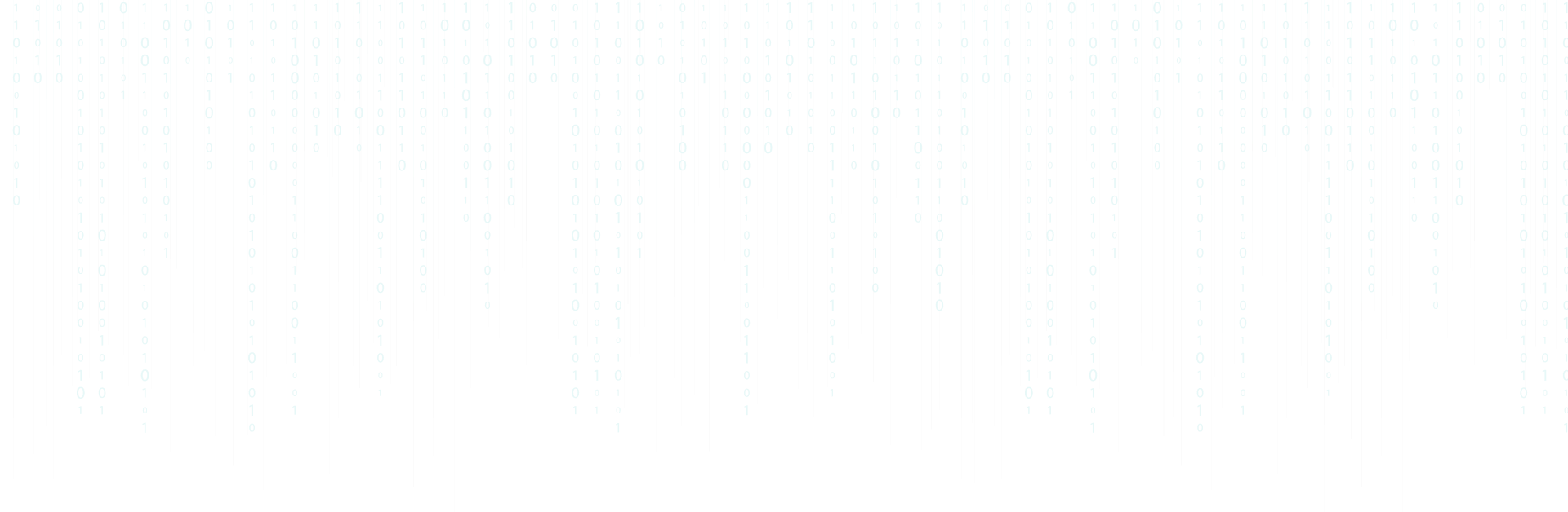 Senior {Full Stack} Web Developer