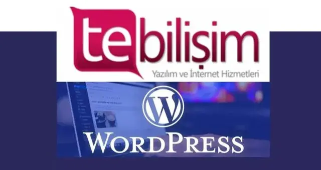 Tebilişim → WordPress Veri Aktarma Eklentisi