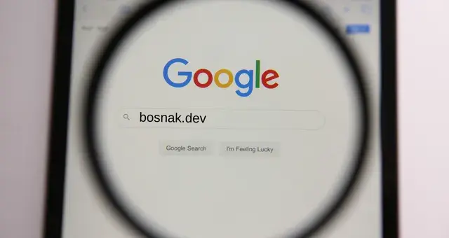 Python Google Organik Hit Botu